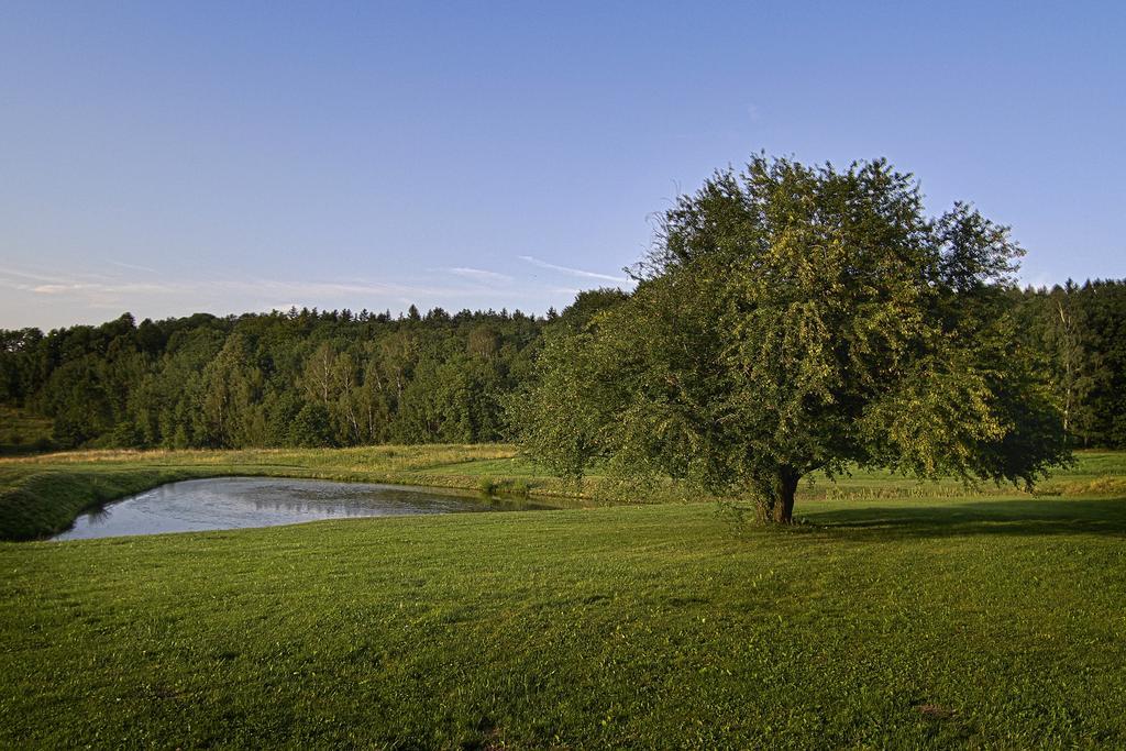 Bed and Breakfast Gosciniec Nowa Wioska Waldenburg Exterior foto